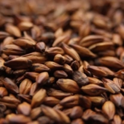 A close up of some brown grains