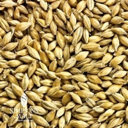 A close up of grains of wheat