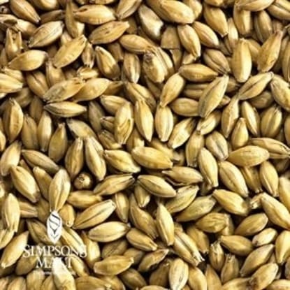 A close up of grains of barley