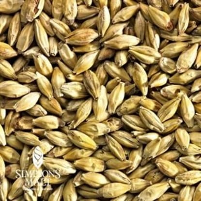 A close up of grains of barley