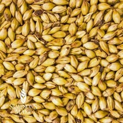 A close up of grains of wheat