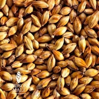 A close up of grains of wheat