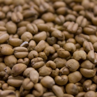 A close up of coffee beans on the ground