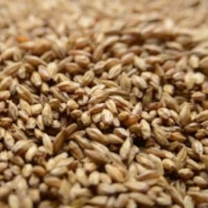 A close up of some brown grains