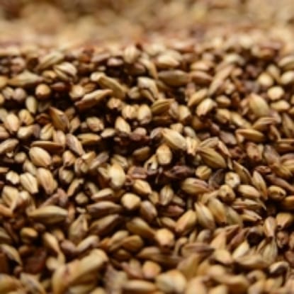 A close up of some brown and white grains