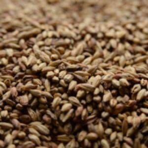 A close up of some brown rice grains