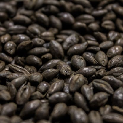 A close up of coffee beans on the ground