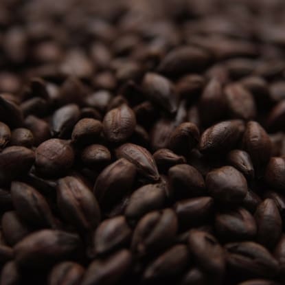 A close up of coffee beans on the ground