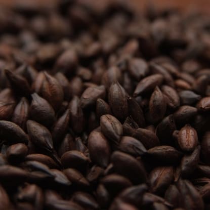 A close up of some brown seeds