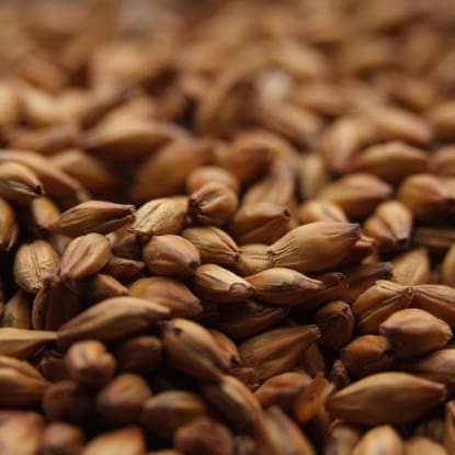 A close up of some brown grains