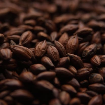 A close up of some brown beans