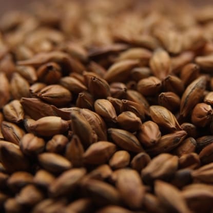 A close up of some brown grains