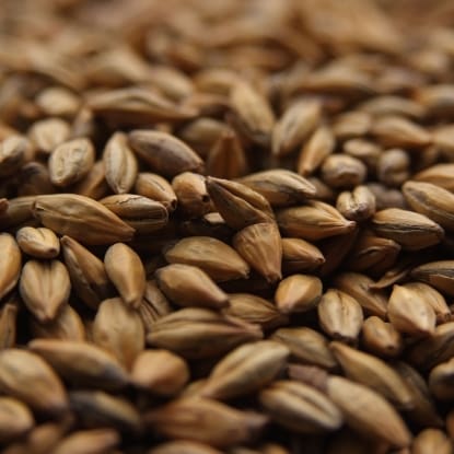 A close up of some grains of beer