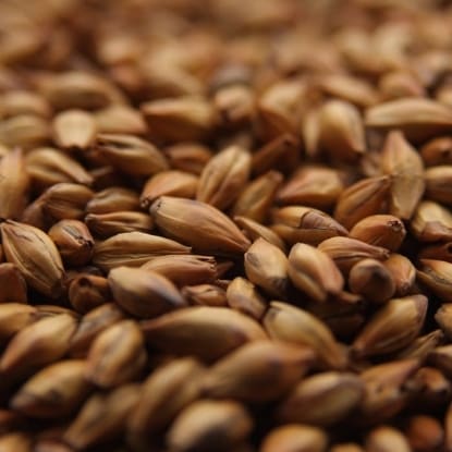 A close up of some brown grains