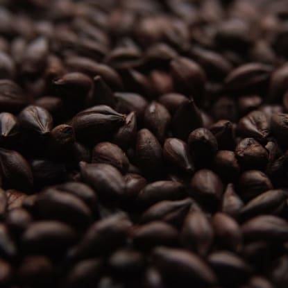 A close up of coffee beans on the ground