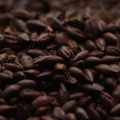 A close up of coffee beans on the ground