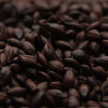 A close up of some coffee beans