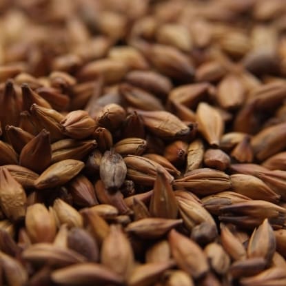 A close up of some brown grains