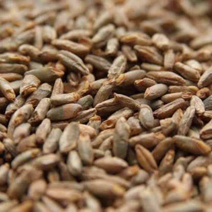 A close up of the seeds of a bird