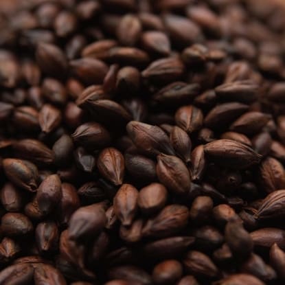 A close up of coffee beans on the ground