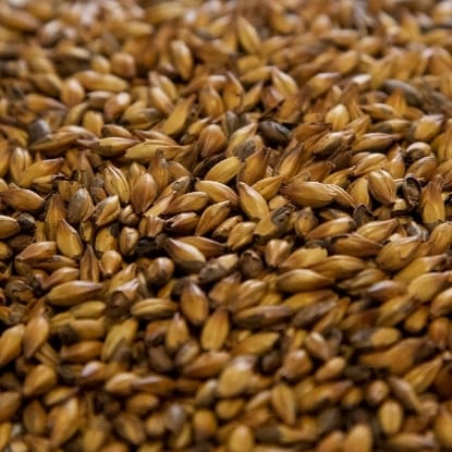 A close up of some brown grains