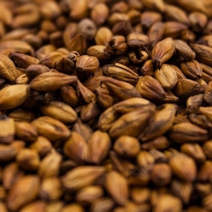 A close up of some brown grains