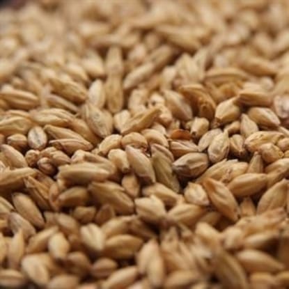 A close up of grains of wheat