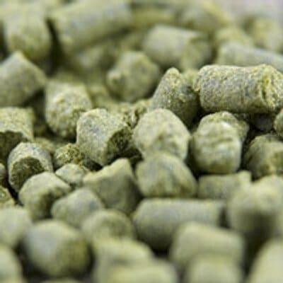 Close up of a pile of green hop pellets.