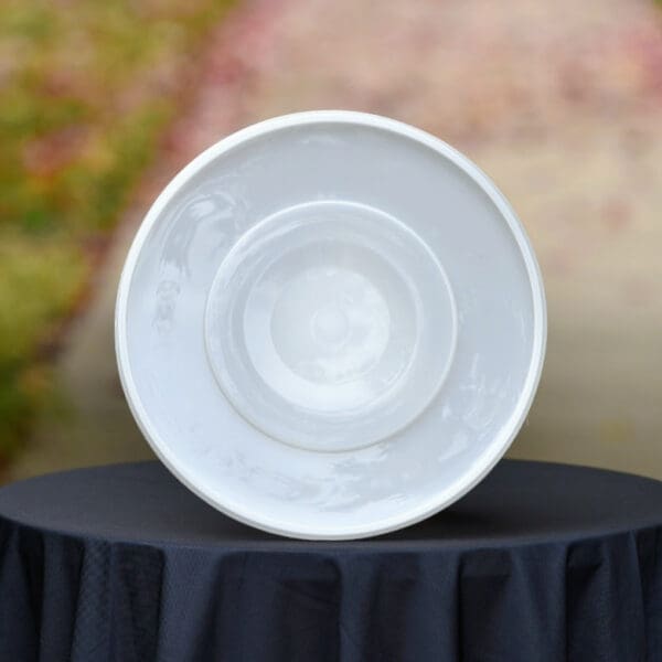 White ceramic plate with concentric circles.